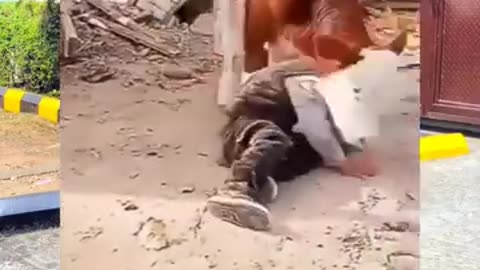 🤣 Funny kids