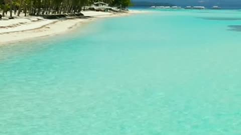 Panglao Island's Must-Visit Beaches'
