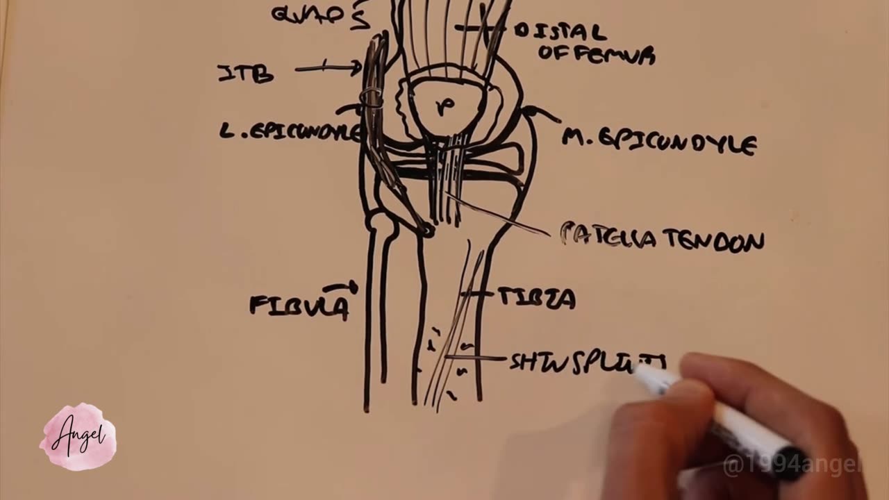 Top Running Injuries with Armando Hasudungan (Marathon Week 4)