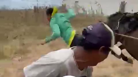 Comedy