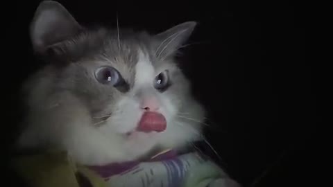 Scary video