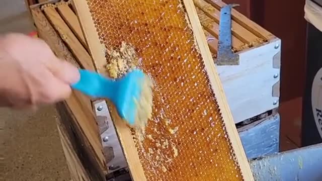 This honey is perfect