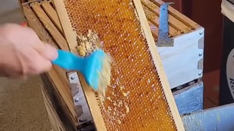 This honey is perfect