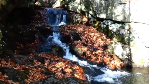 Roaring Falls