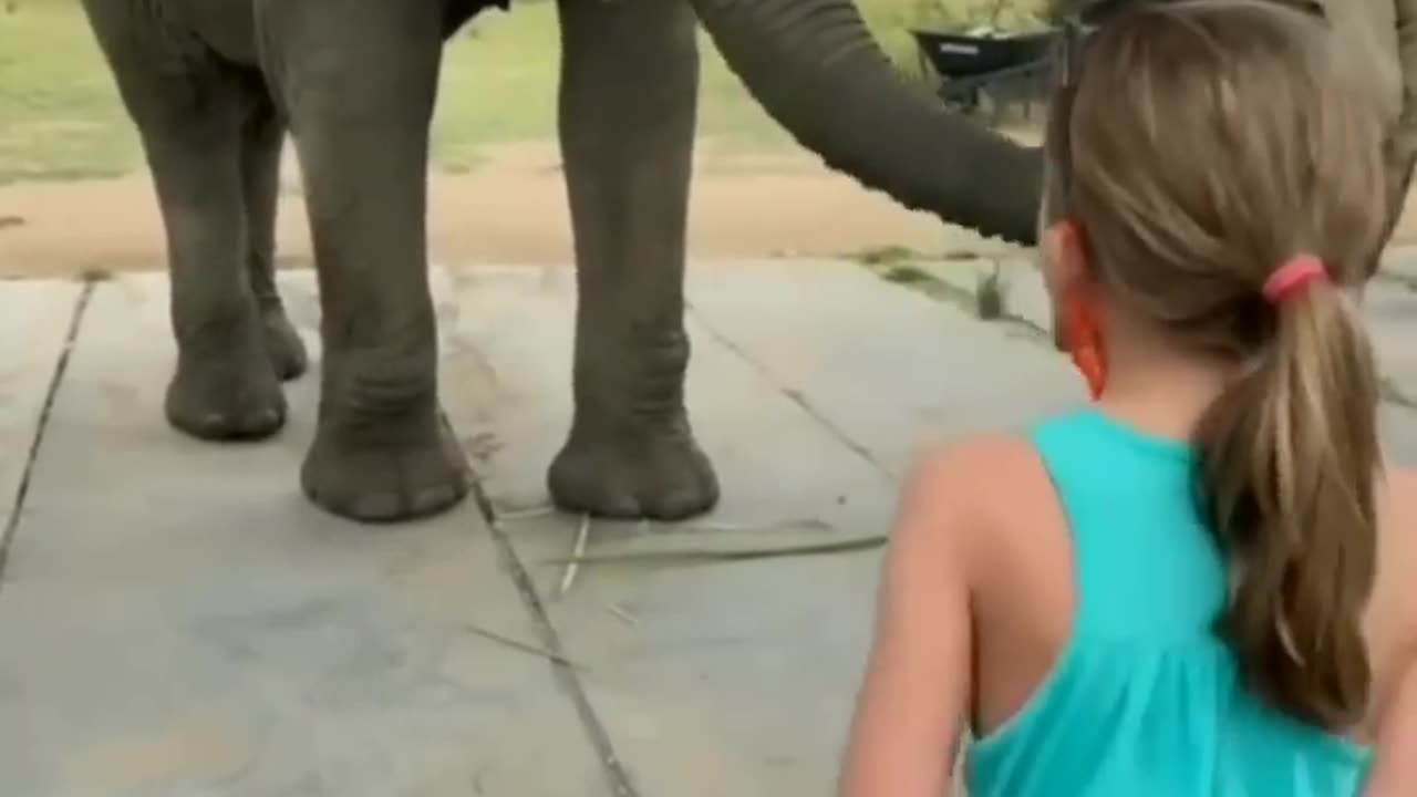 Elephant end girl enjoying