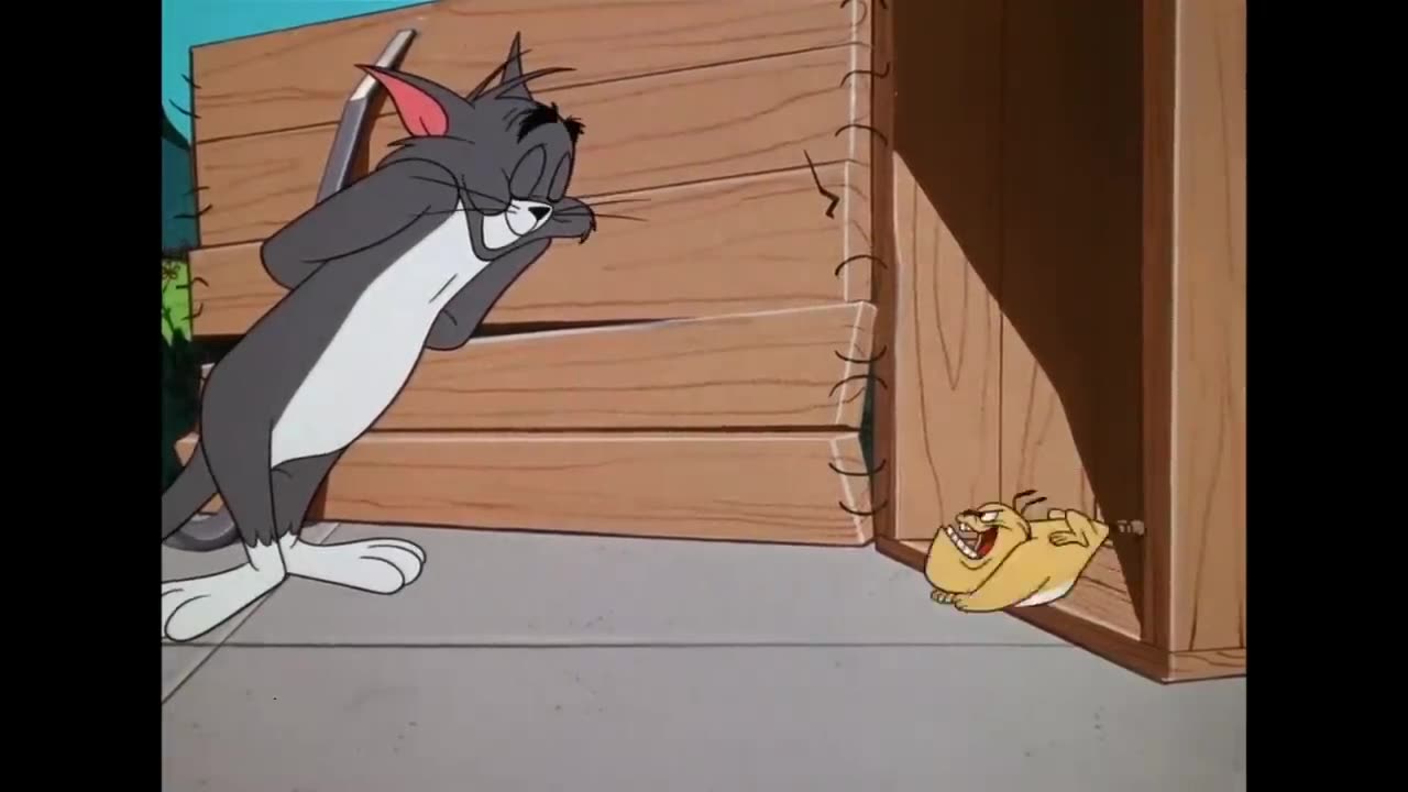 Tom and Jerry cartoon