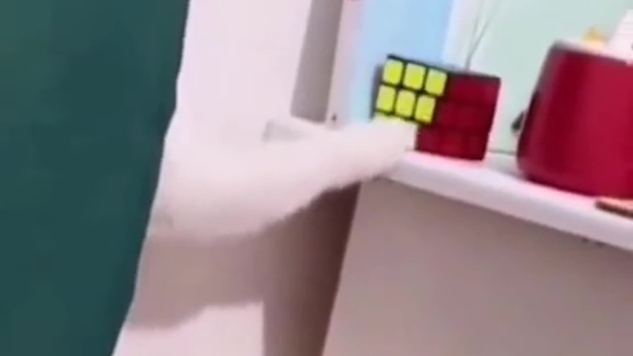 The end#funny #funnyvideo #funnyvideos