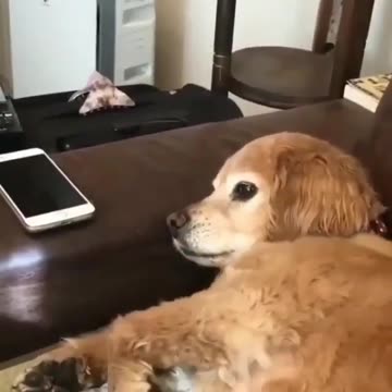 That’s enough for today. Don’t you think #putdownthephone