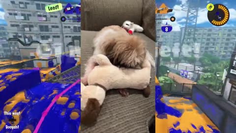 Team Aliens ONLY - Splatoon 3
