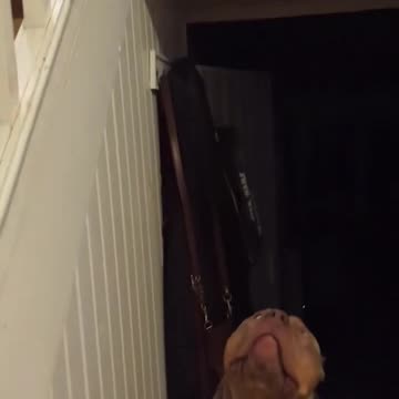 He Knows The Kitty's true power