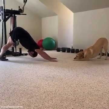 Abdominal exercises and weight loss