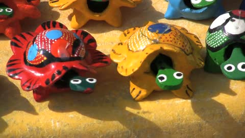 Mexico Wooden turtles