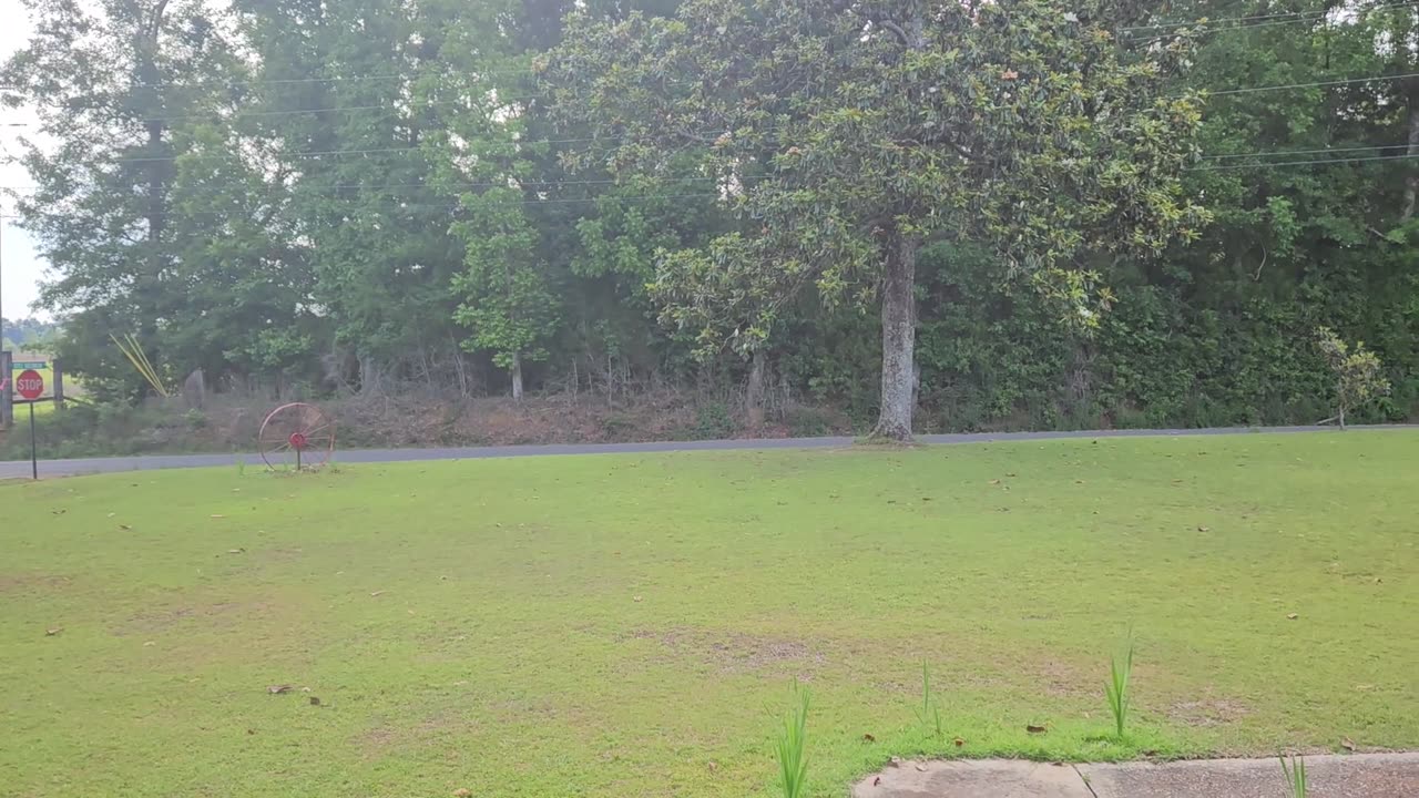 GSG Porch Report 030523