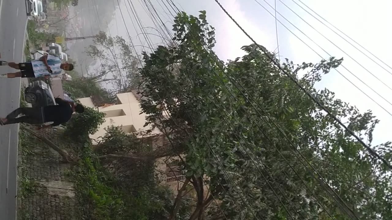 #Wind blow.