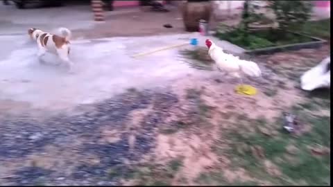 Đừng đụng mấy thằng k còn gì để mất