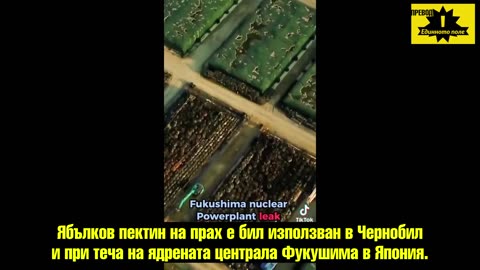 Д-р Б.Ардис за пектина