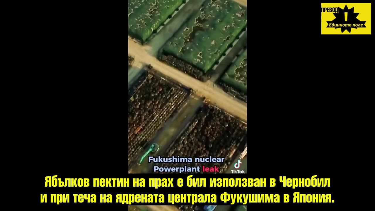 Д-р Б.Ардис за пектина