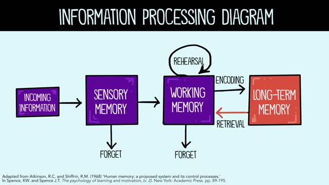 What is Cognitive Load Theory?