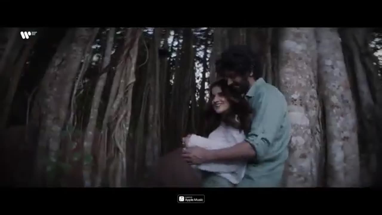 Heeriye (Official Video) Jasleen Royal ft Arijit Singh| Dulquer Salmaan| Aditya Sharma |Taani Tanvir