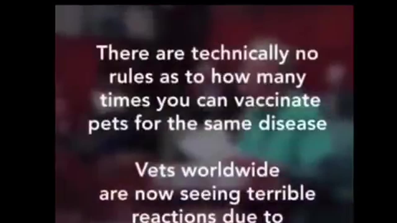 Pet vaccines are even worse than human vaccines: