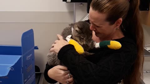 Emotional Reunion With Cat Rescued From Fire