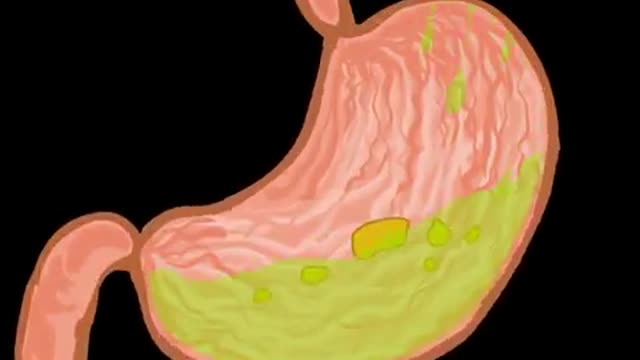 Digestive System | How The Digestive System Works | Animated Music Video |