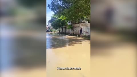 O DIA QUE MINHA RUA SE TORNOU UM RIO