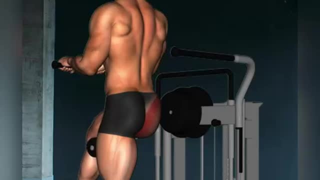 Glutes Workout Exercises For Men And Women