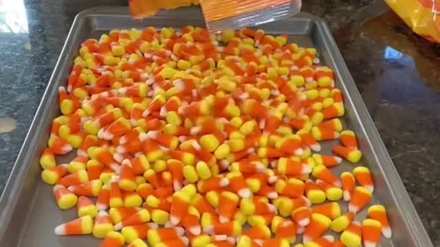 willCANDYCORNmeltintheheat#candycorn#halloween#fyp