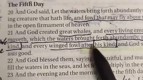 Apocalypse and Revelation 2