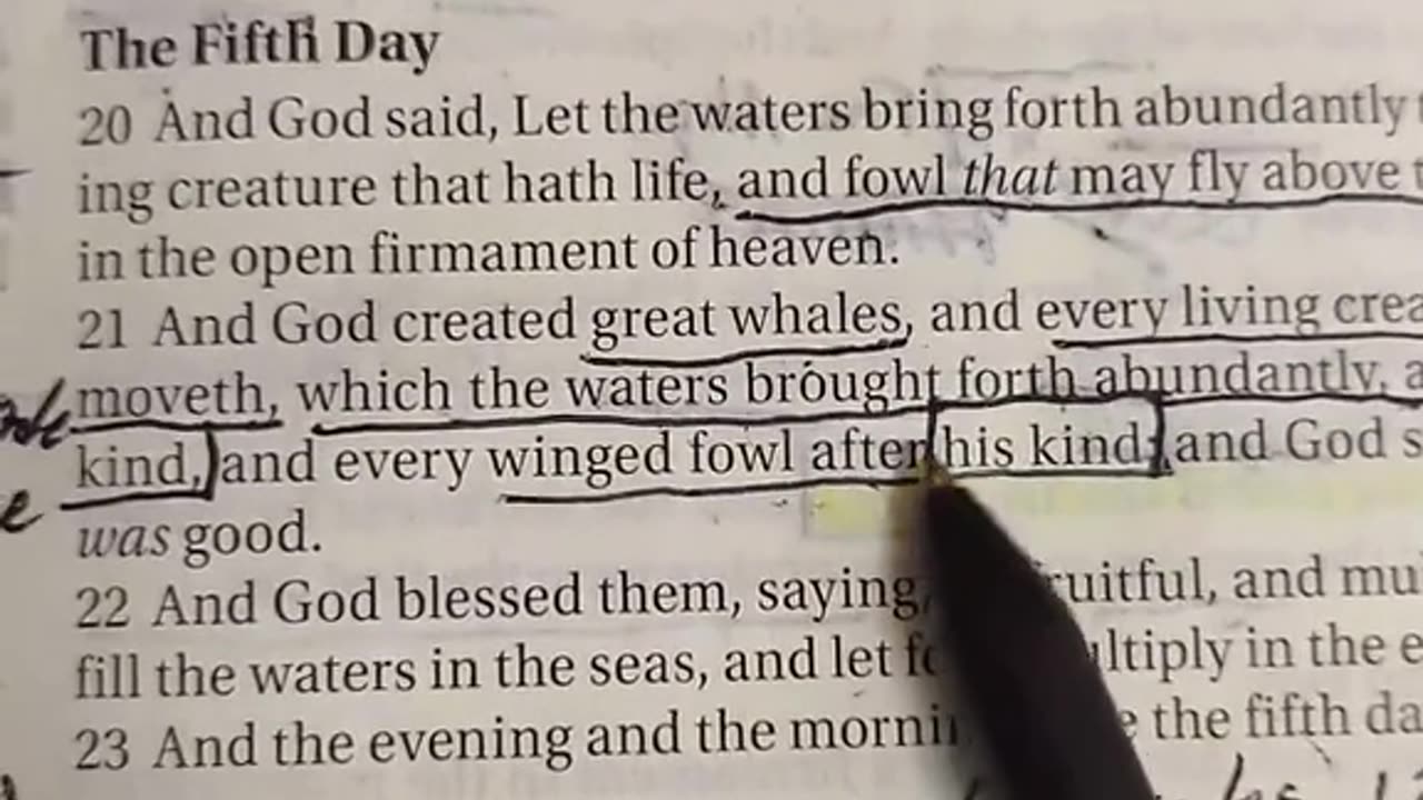 Apocalypse and Revelation 2