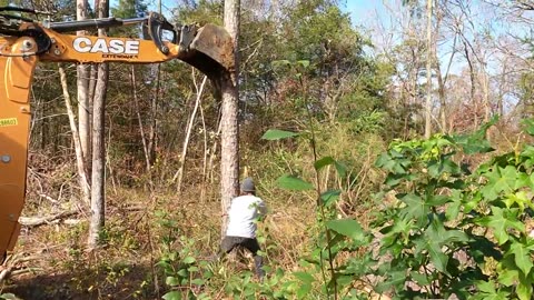 Helping at a friend's homestead