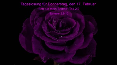 Tageslosung für Donnerstag, den 17. Februar