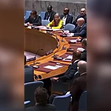 The UN Security Council rejected a proposal for an international independent investigation...