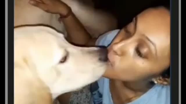 Girl kissing dogs