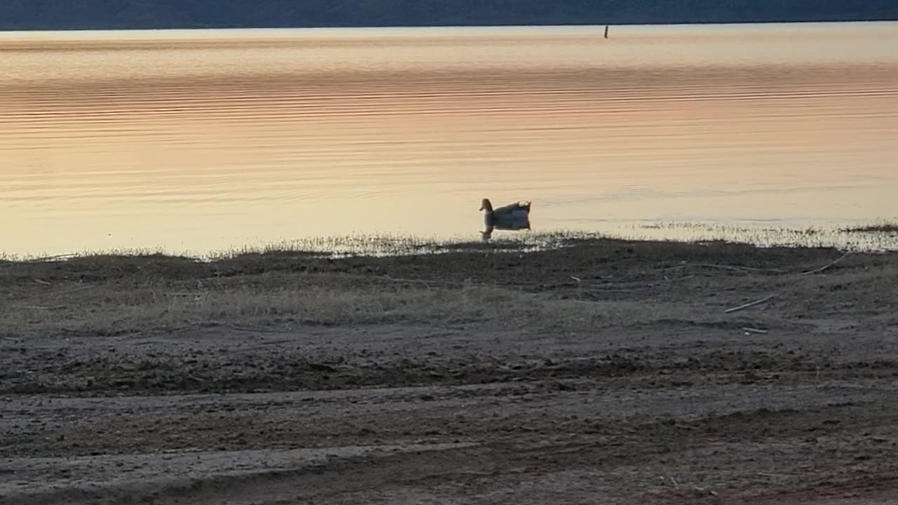 Meredith Lake Texas