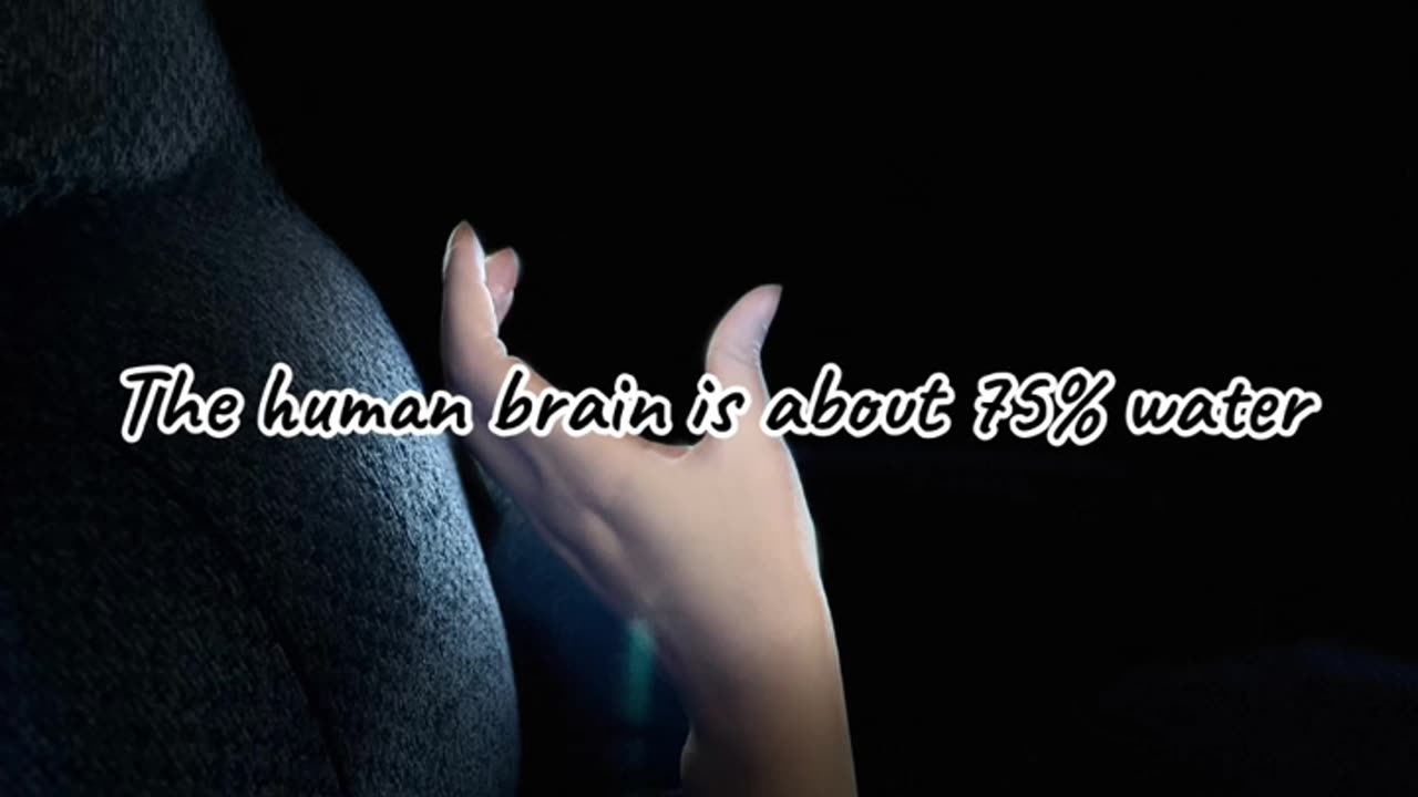 Fun facts of brain