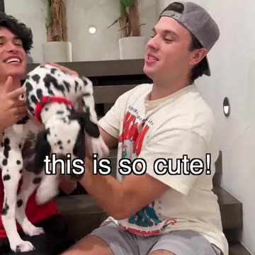 I Bought The World's Rarest Puppy! 4K