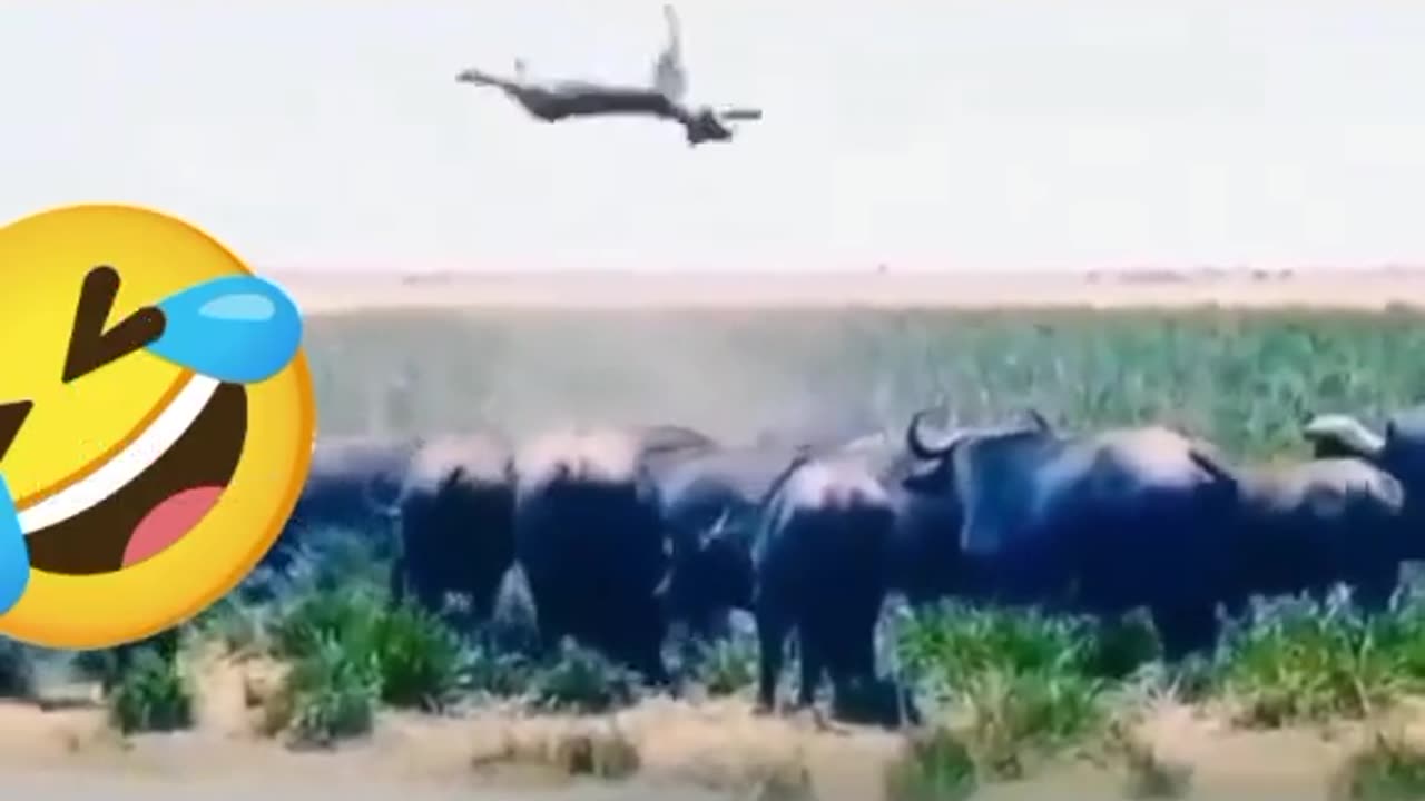 Ye Hoti hakumat