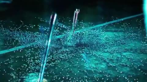 Hollywood movies clips from Facebook 2023 new virsion religion