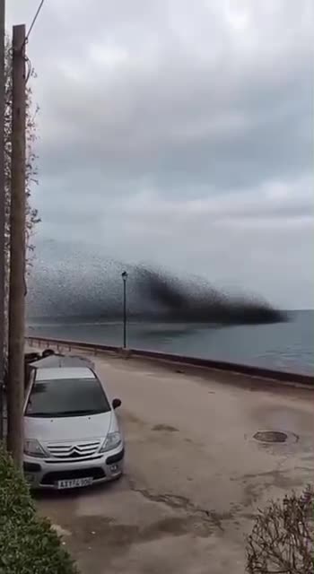 ELECTROMAGNETIC EFFECTS OF 5G?