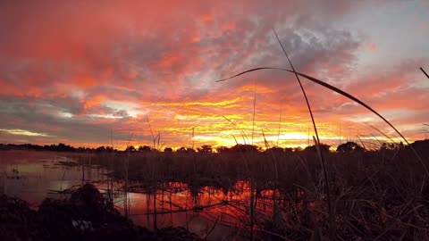 Relaxing sunset life