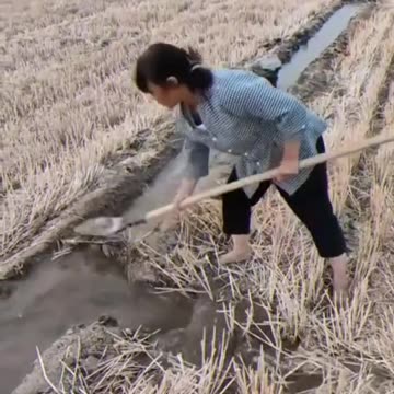 Science, Technology & Engineering