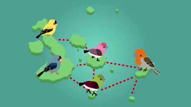 Theory of evolution video