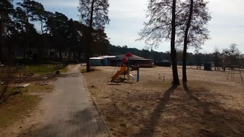 Winter Walk