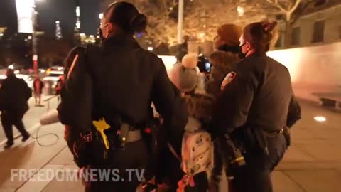 5 Protesters Arrested and Child Walked Out of NYC Museum by Police