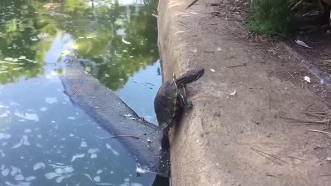 BAD DAY? Laugh Funny Video.