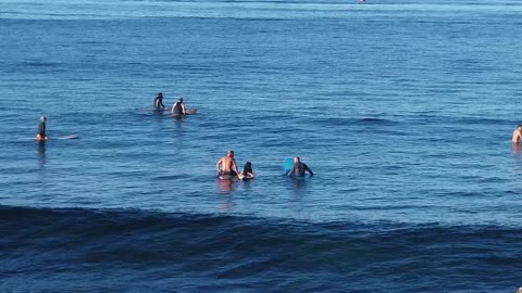 Hadassah at the Ala Wai 2023-10-14 Sunday