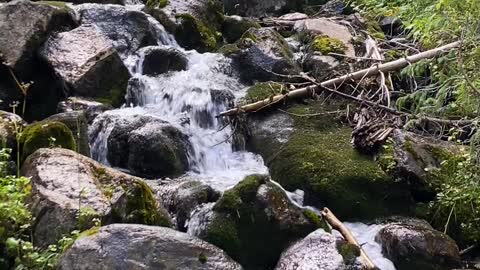 Narrow Mountain Stream