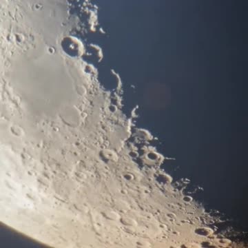 I never get bored of looking at Luna 😍